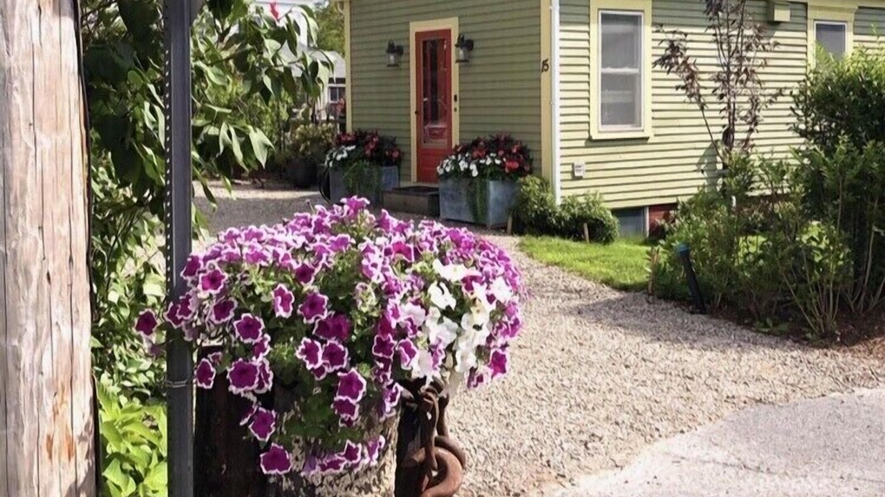 Photo of Outdoor in Provincetown