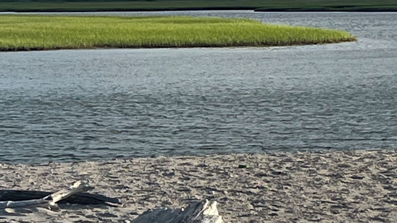 Photo of Others in Barnes Landing