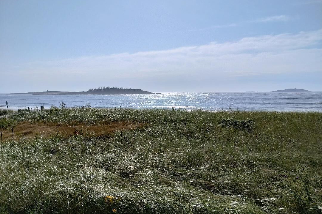Photo of Others in Phippsburg