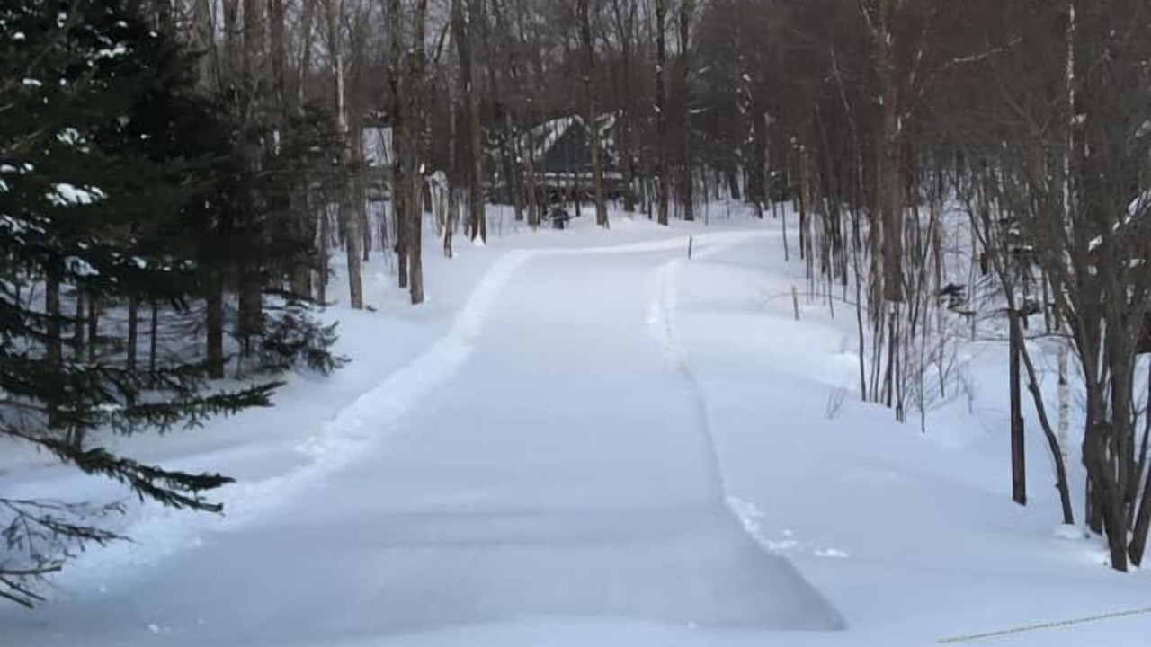 Photo of Others in West Dover