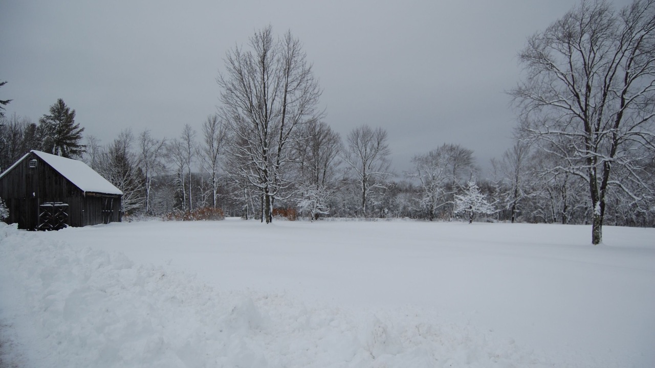Photo of Outdoor in Landgrove