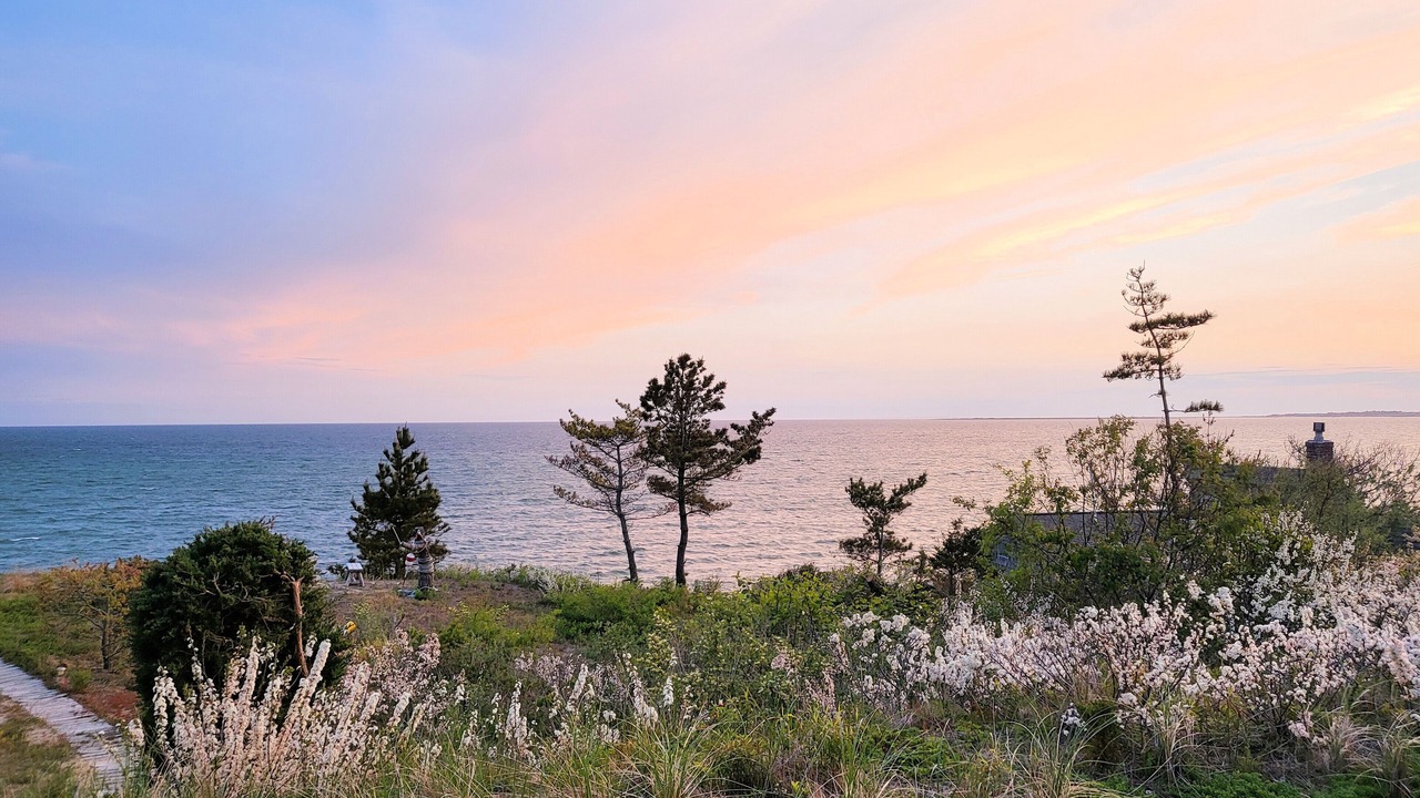 Photo of Others in North Truro