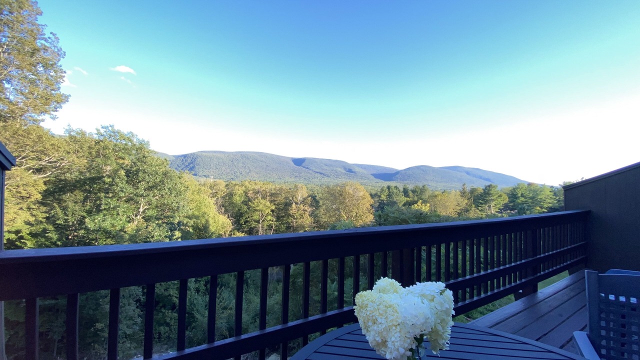 Photo of Outdoor in Manchester Center