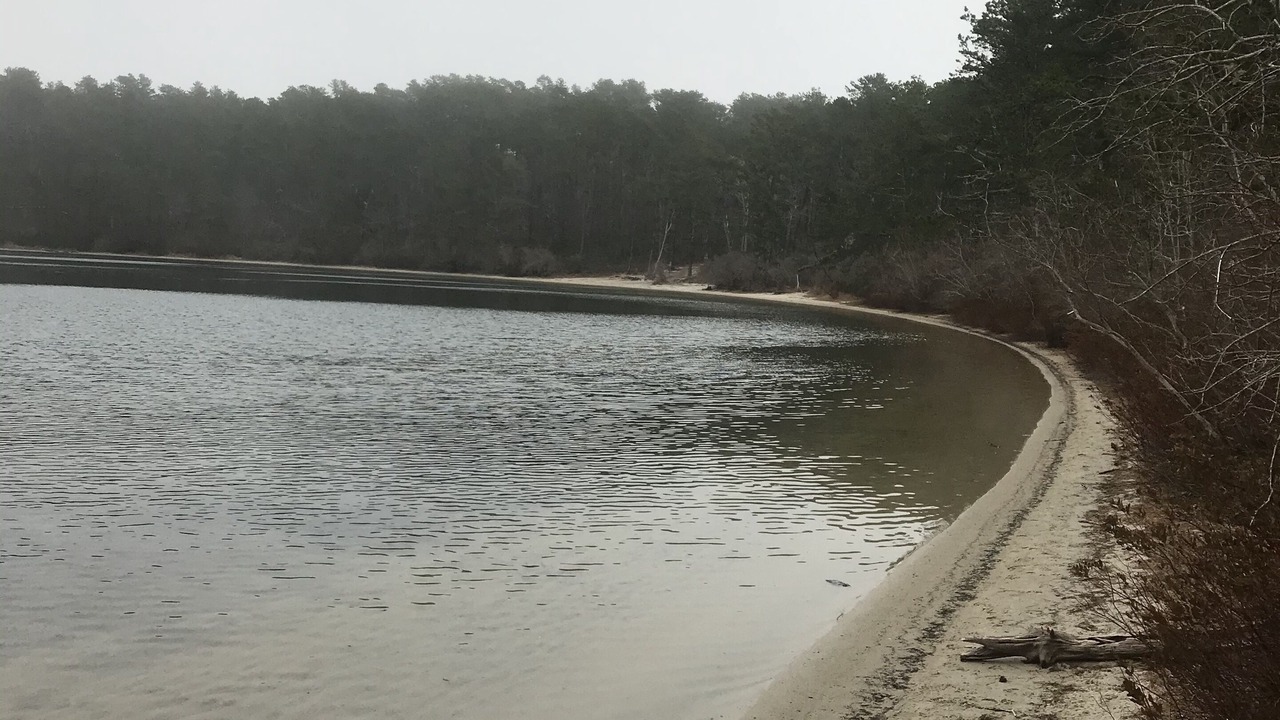 Photo of Others in Wellfleet