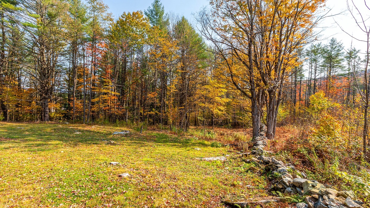 Photo of Outdoor in Rawsonville