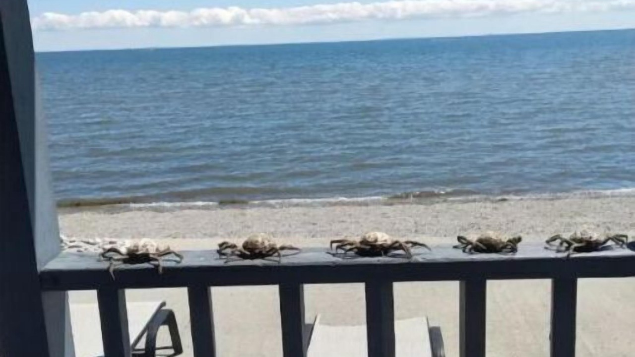 Photo of Outdoor in Milford