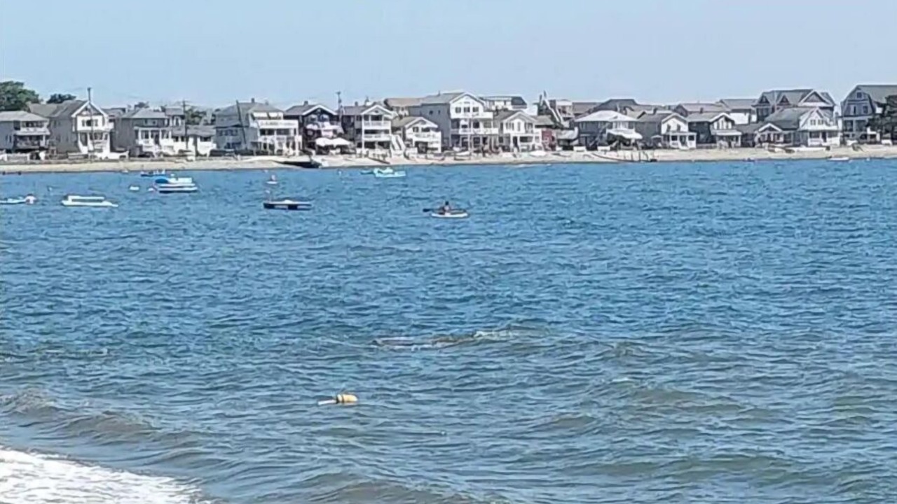 Photo of Others in Milford