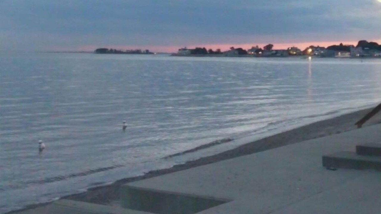 Photo of Others in Milford