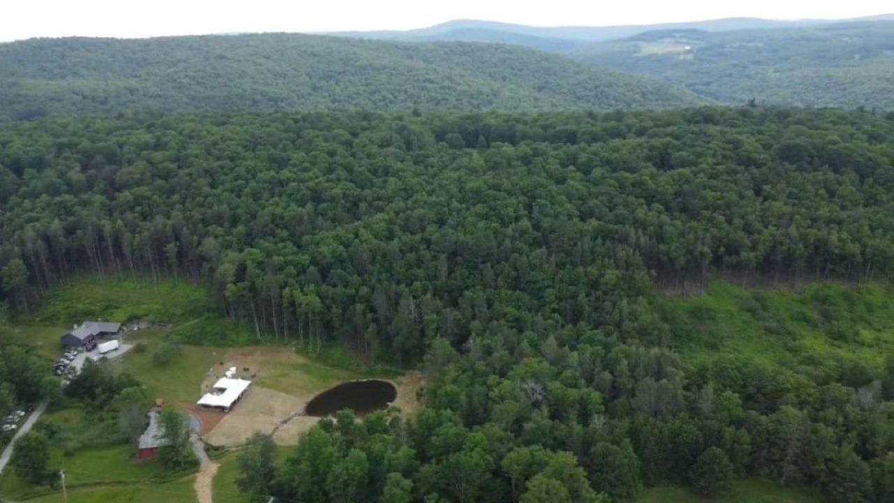 Photo of Outdoor in Equinunk