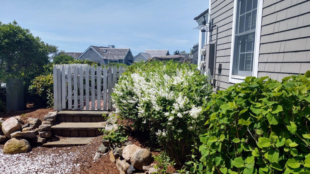 Photo of Outdoor in Mashpee