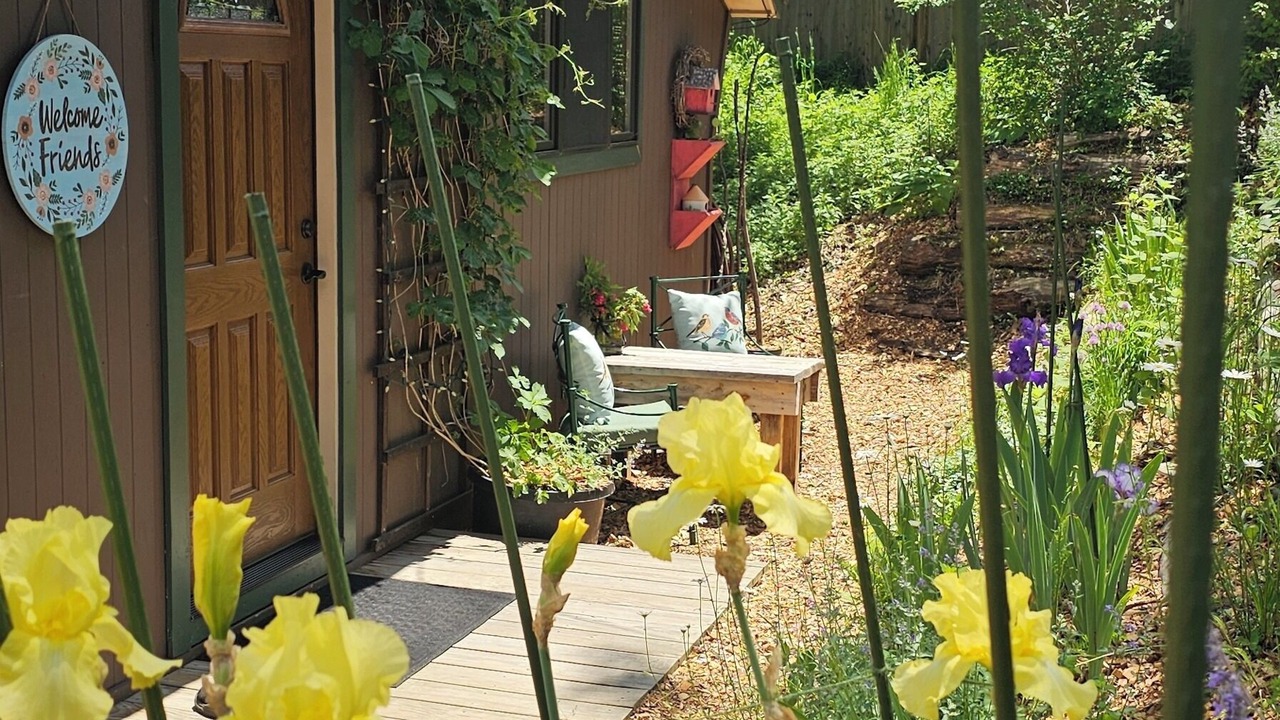 Photo of Outdoor in North Creek