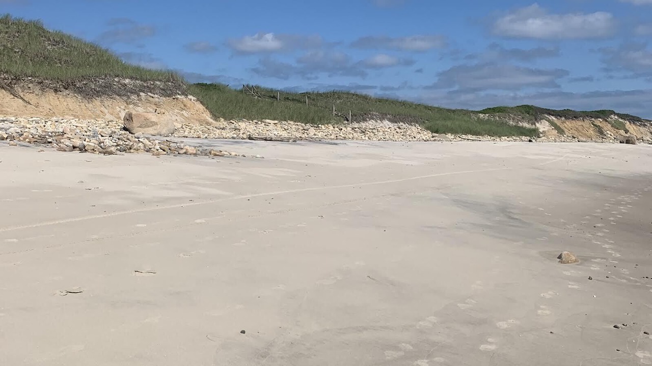 Photo of Others in Aquinnah