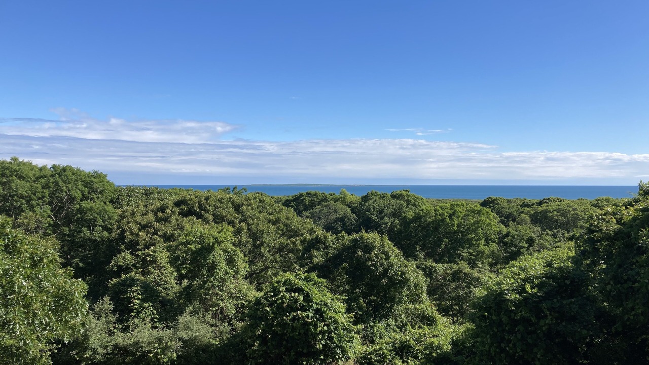 Photo of Others in Aquinnah