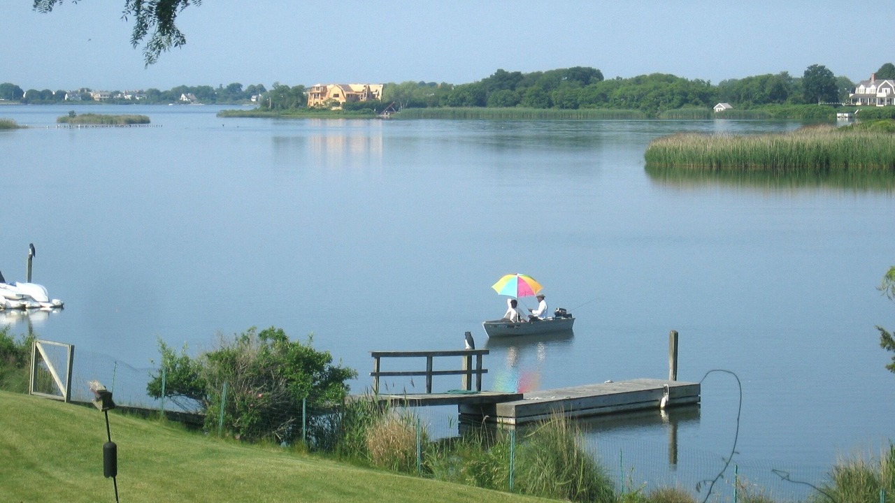 Photo of Others in Water Mill