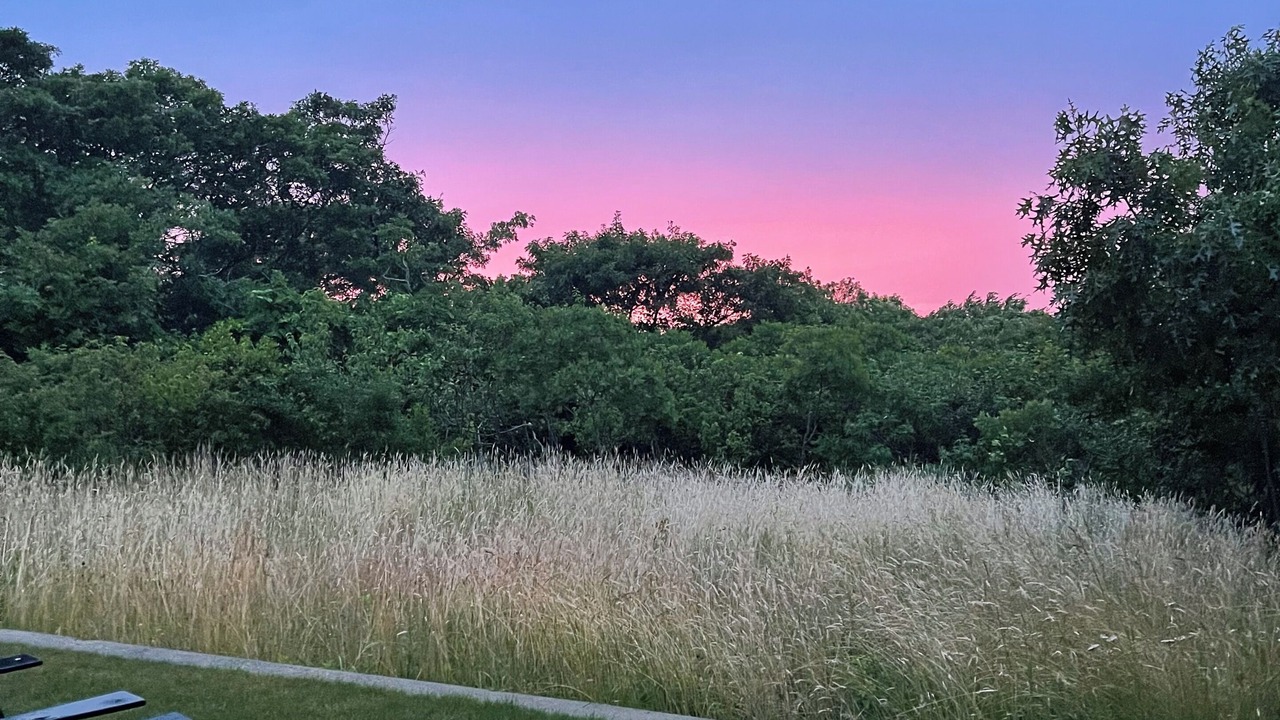 Photo of Outdoor in Aquinnah