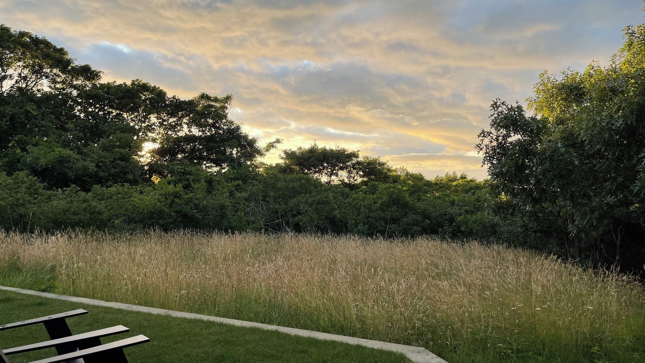 Photo of Outdoor in Aquinnah