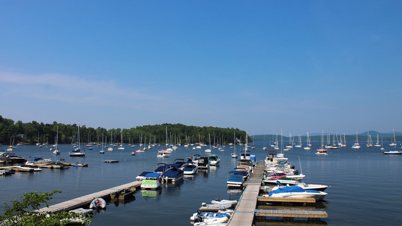 Photo of Others in Malletts Bay