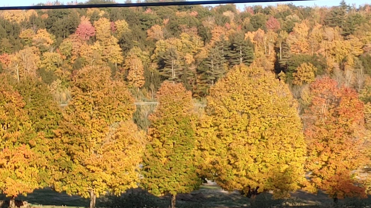 Photo of Others in North Creek