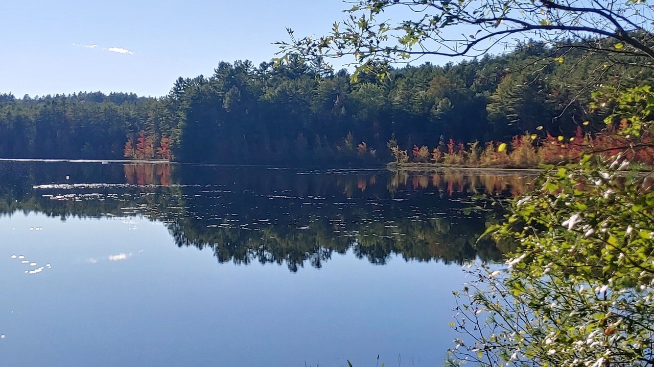 Photo of Others in North Creek