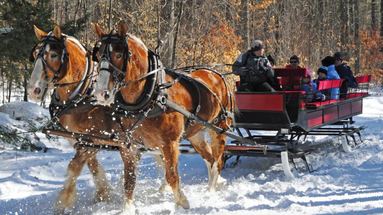 Photo of Others in Center Ossipee