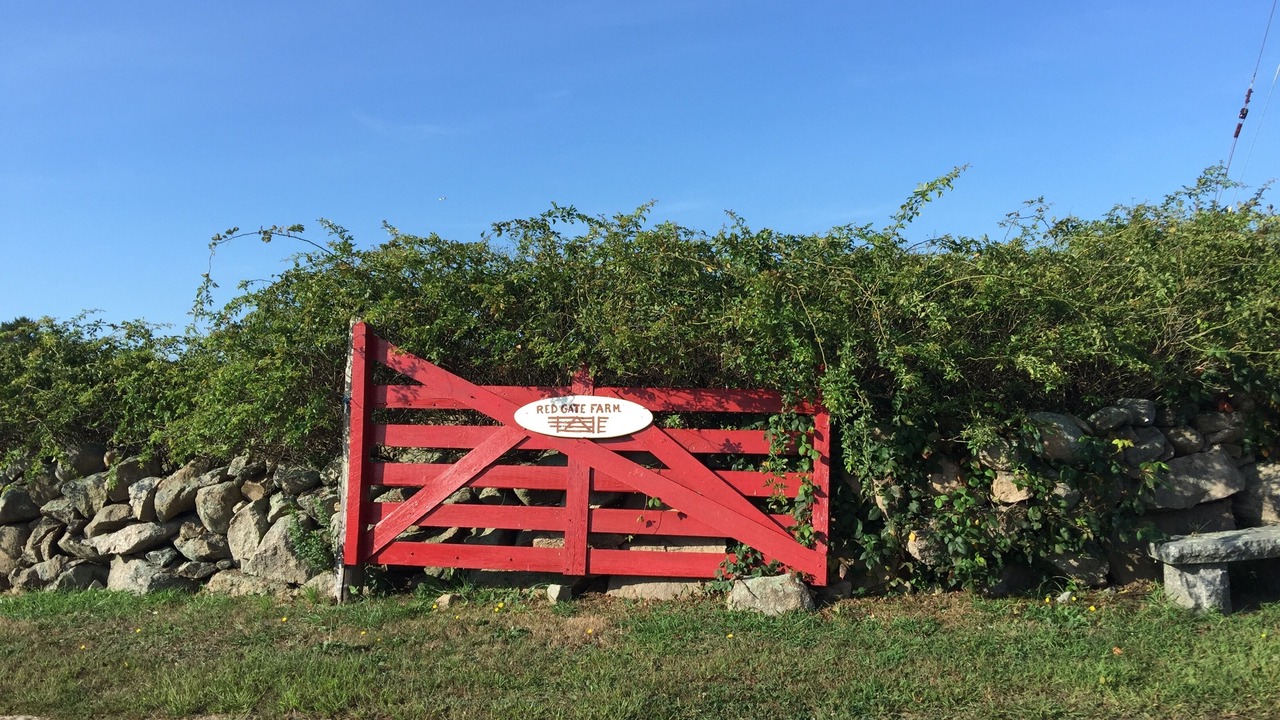 Photo of Outdoor in Block Island