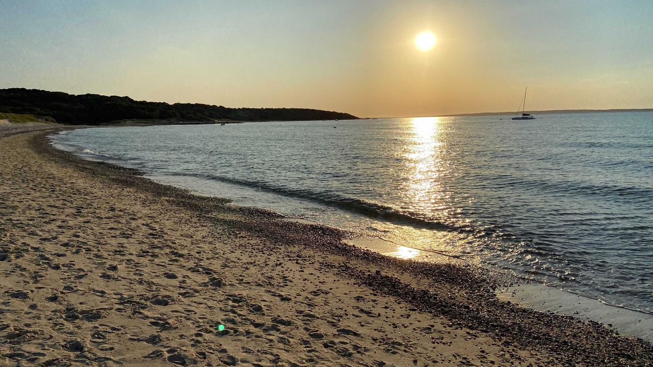 Photo of Others in West Tisbury