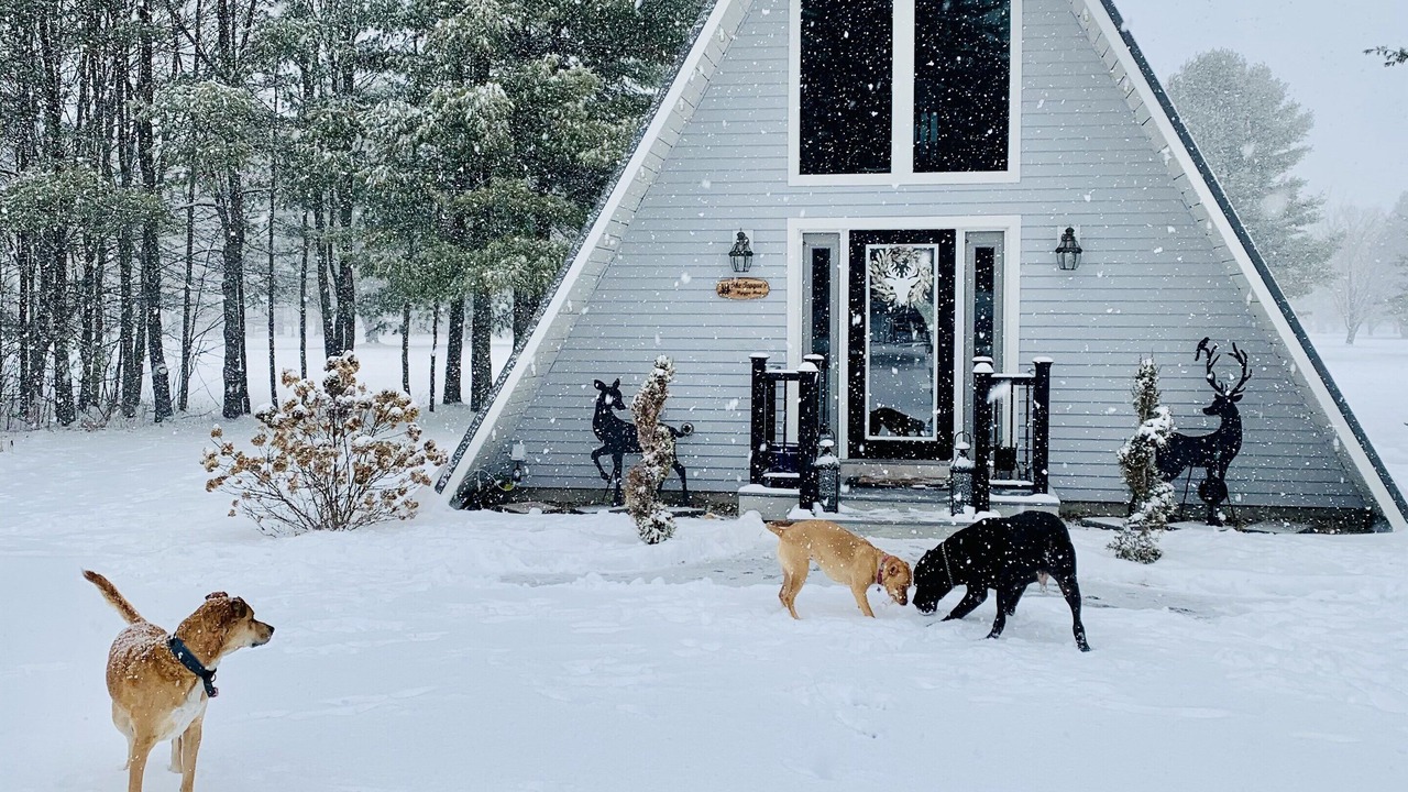Photo of Outdoor in Center Ossipee