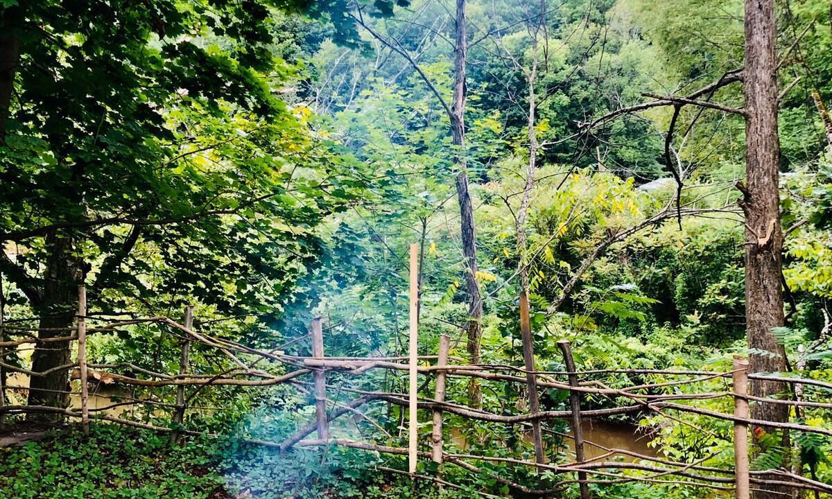 Photo of Outdoor in Halcottsville
