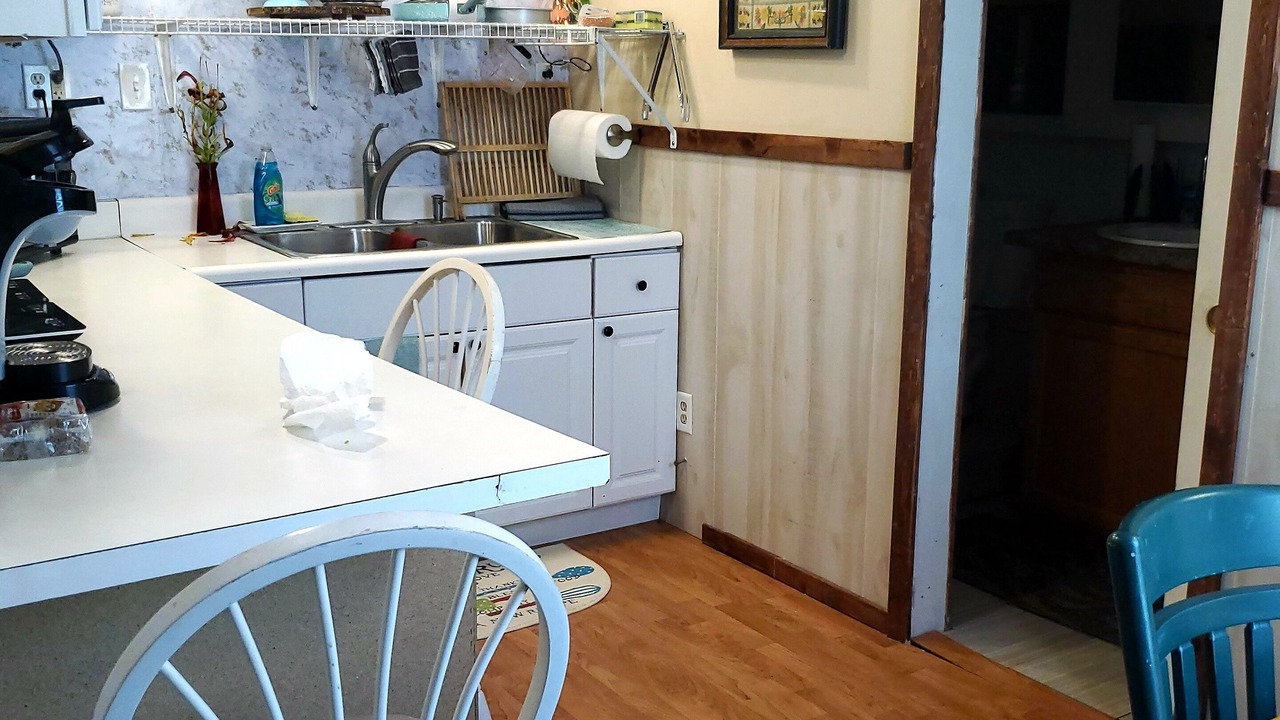 Photo of Others in Ossipee