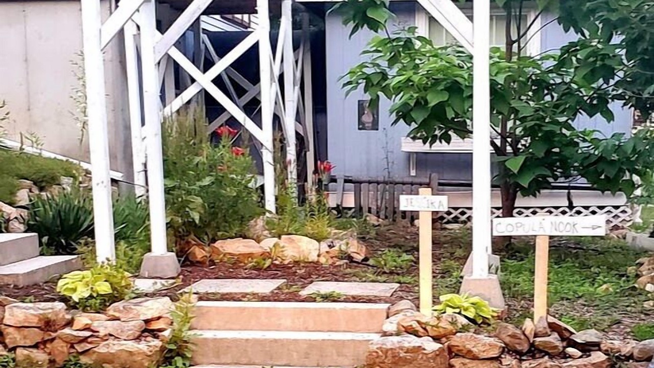 Photo of Others in Ossipee