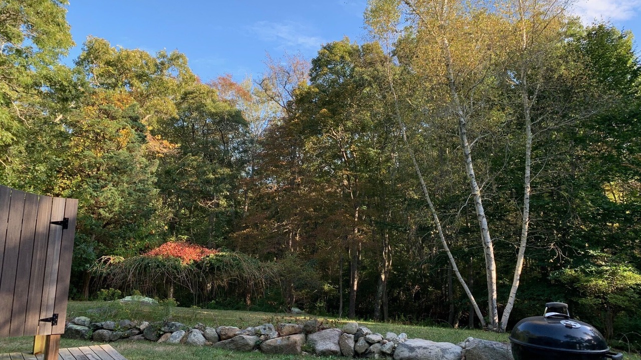 Photo of Others in West Tisbury