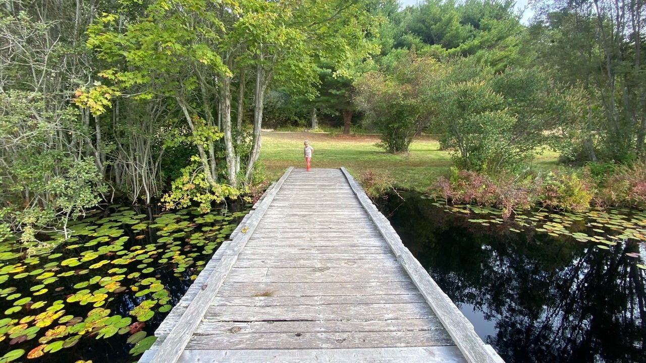 Photo of Others in West Tisbury
