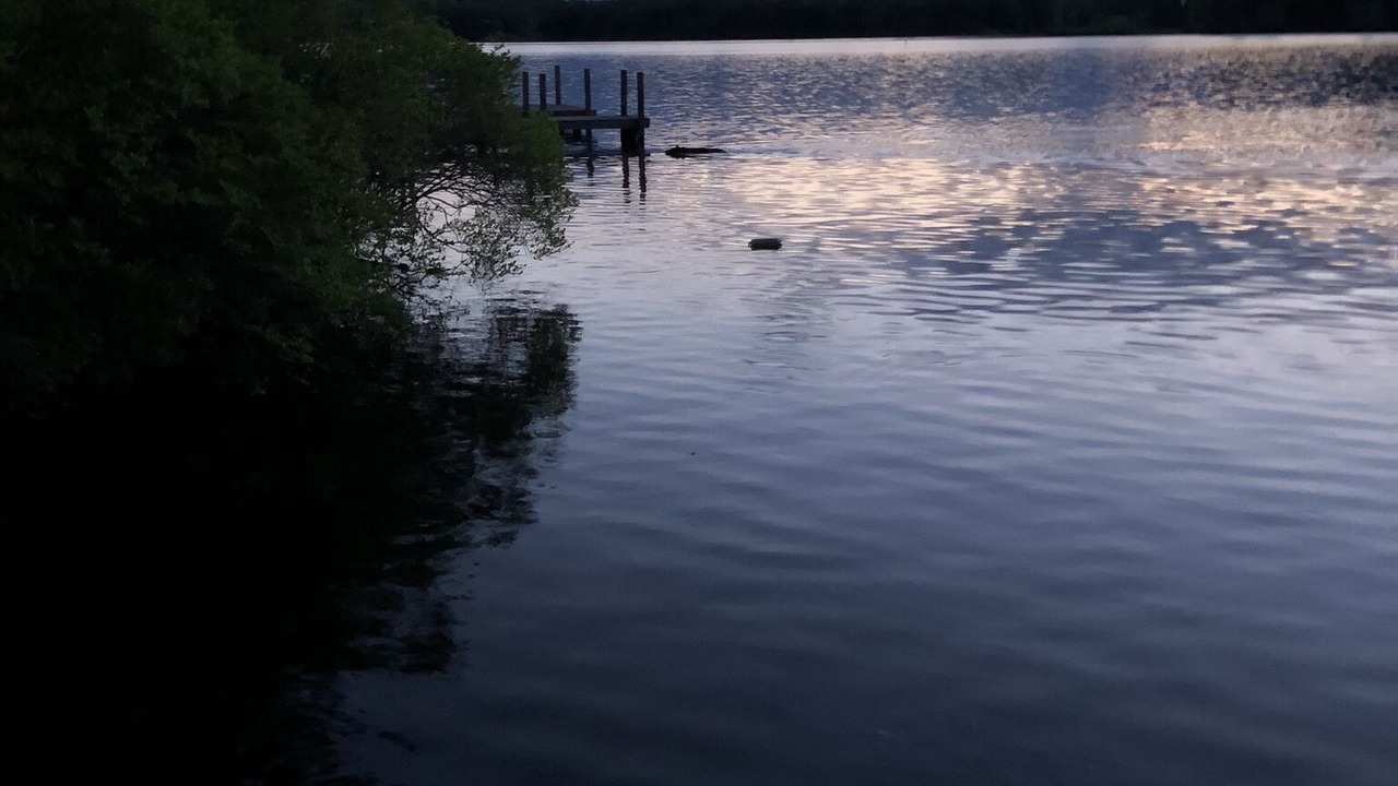 Photo of Others in Moultonborough