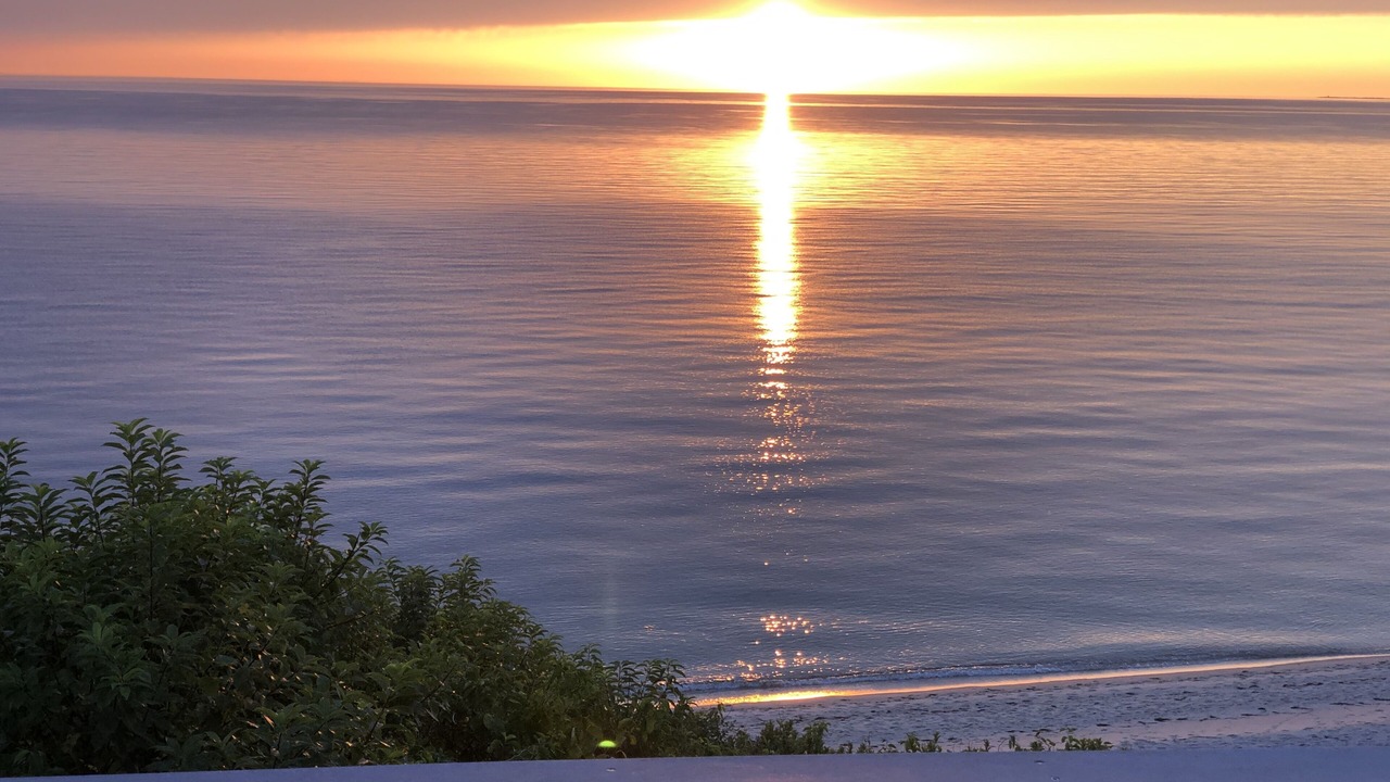 Photo of Others in Wellfleet