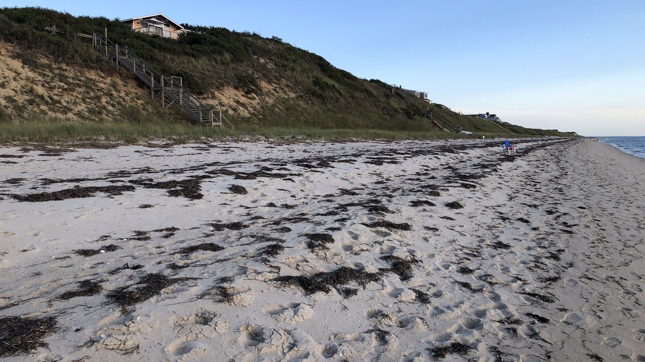 Photo of Others in Wellfleet
