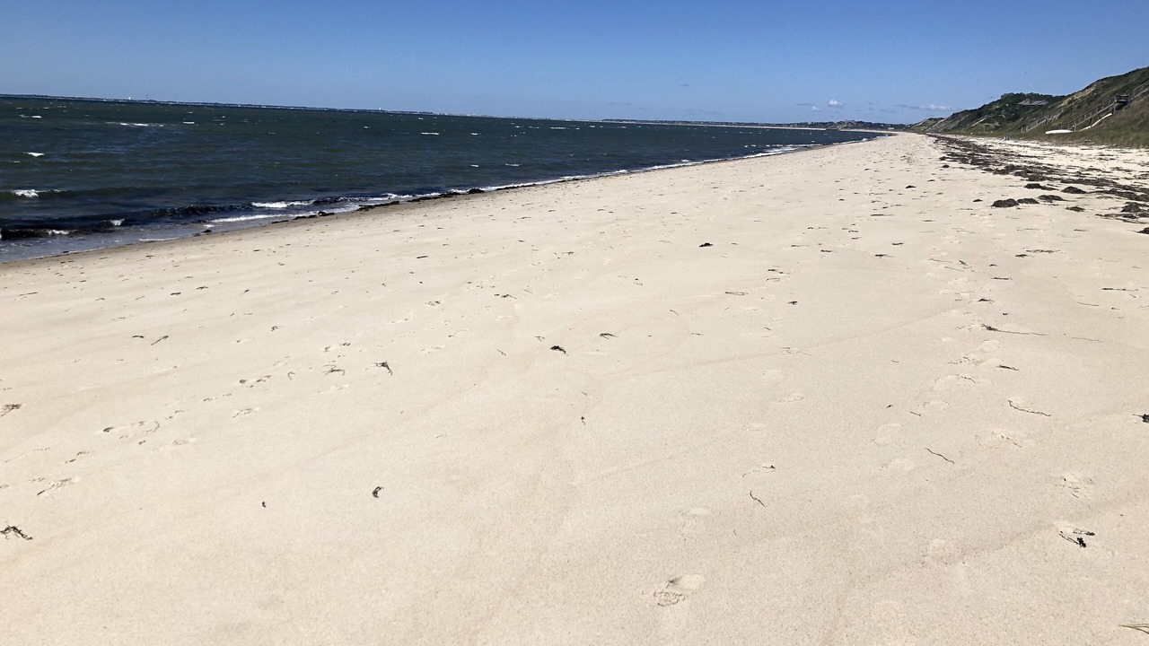 Photo of Others in Wellfleet