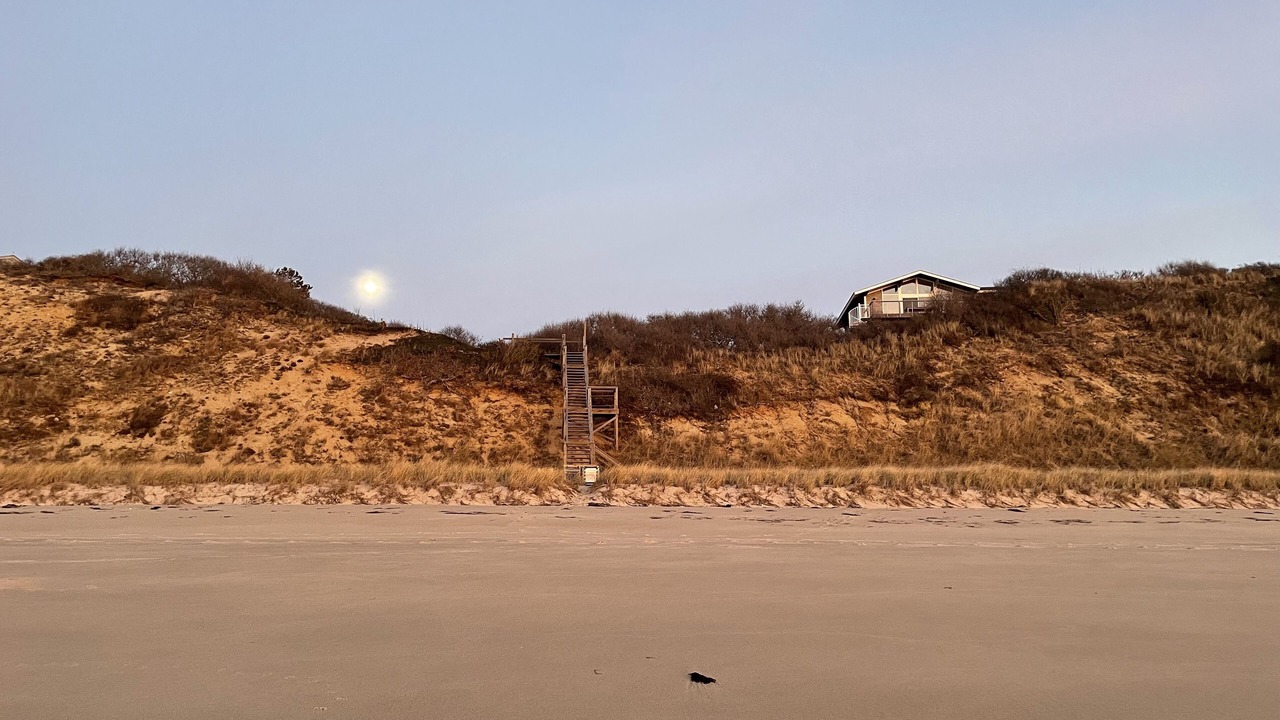 Photo of Others in Wellfleet