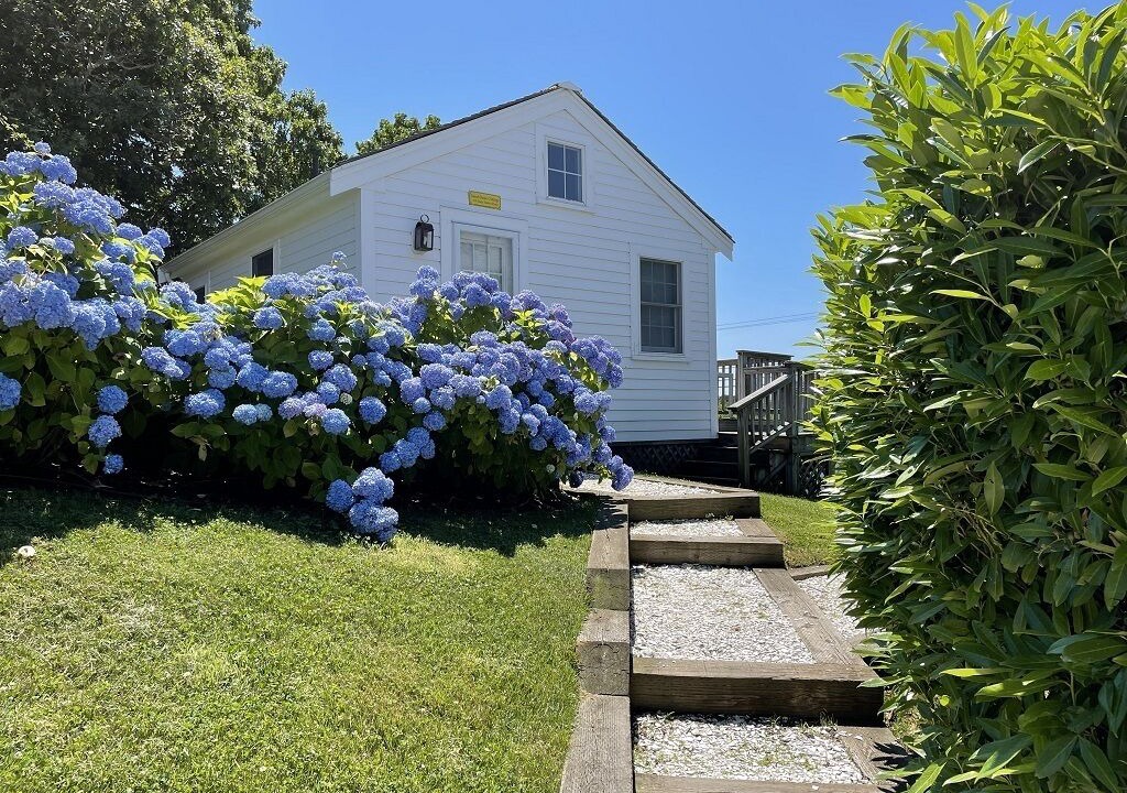Photo of Outdoor in Chatham