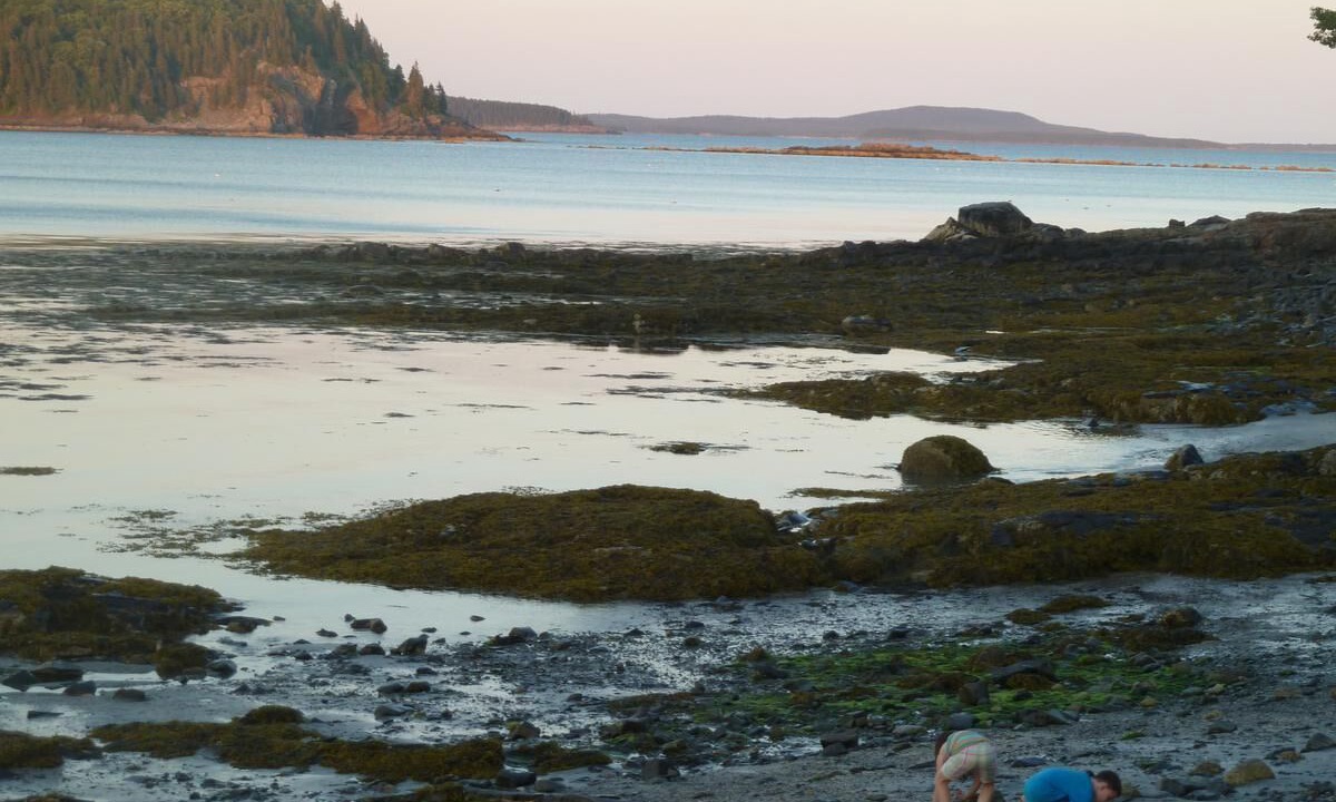 Photo of Others in Bar Harbor