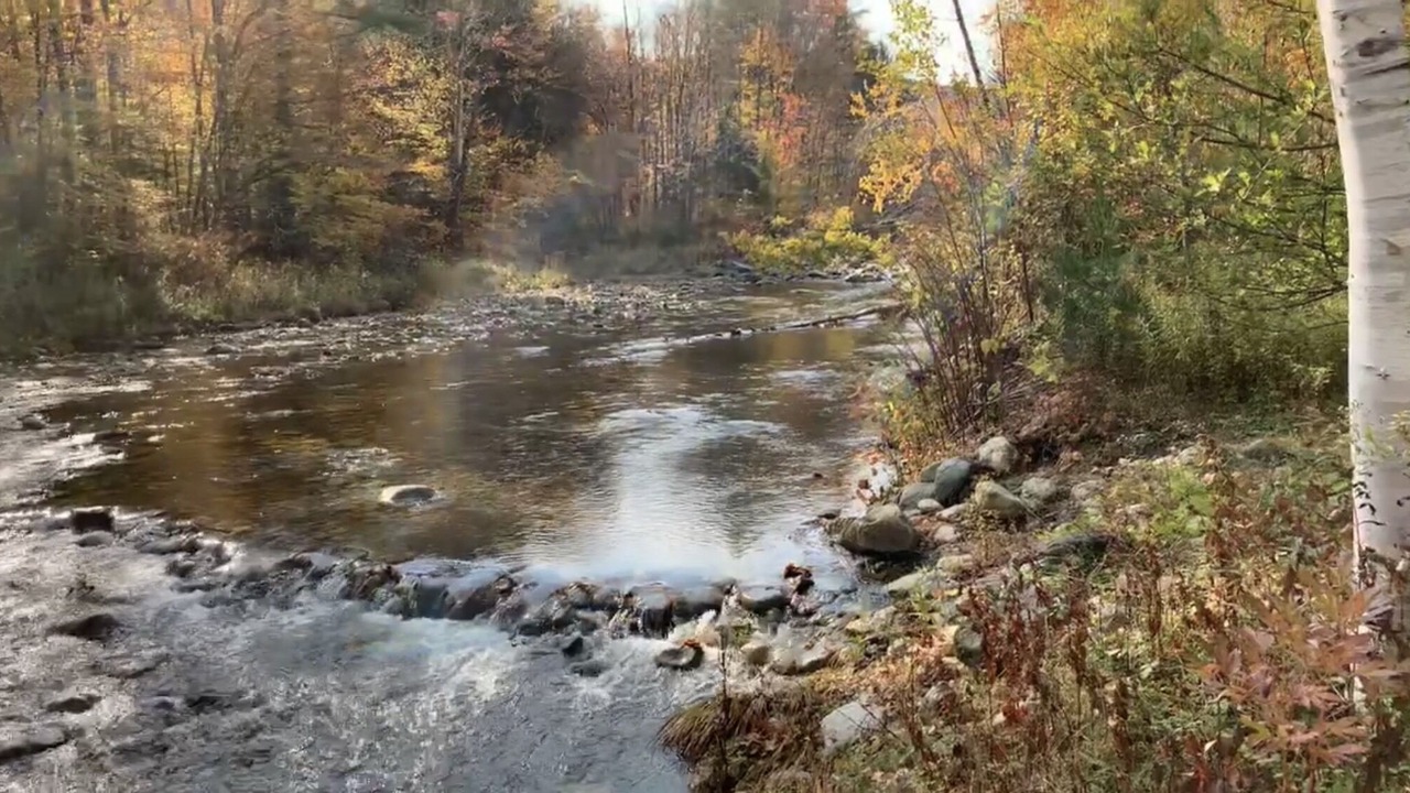 Photo of Others in Wardsboro