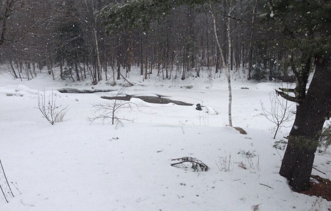 Photo of Others in Wardsboro