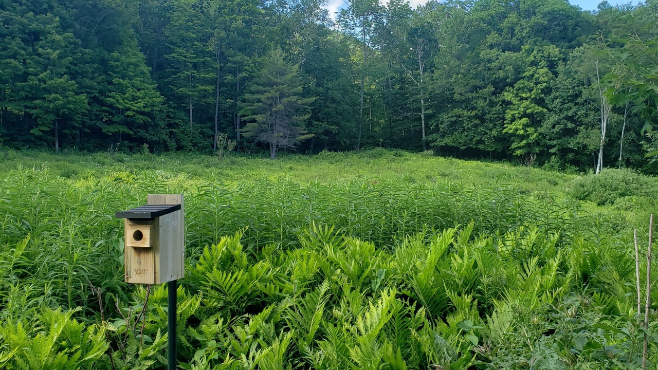 Photo of Outdoor in Baltimore