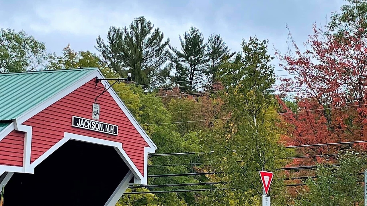 Photo of Outdoor in Bartlett