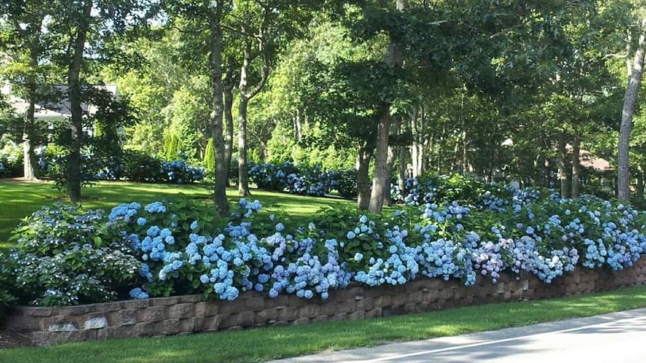 Photo of Outdoor in East Harwich