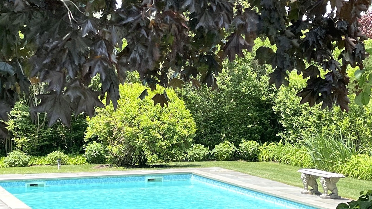 Photo of Outdoor in Village of Southampton