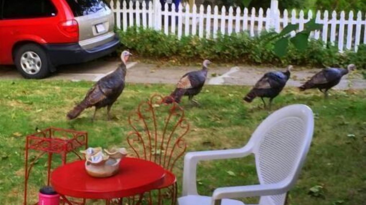 Photo of Outdoor in Jones Hill