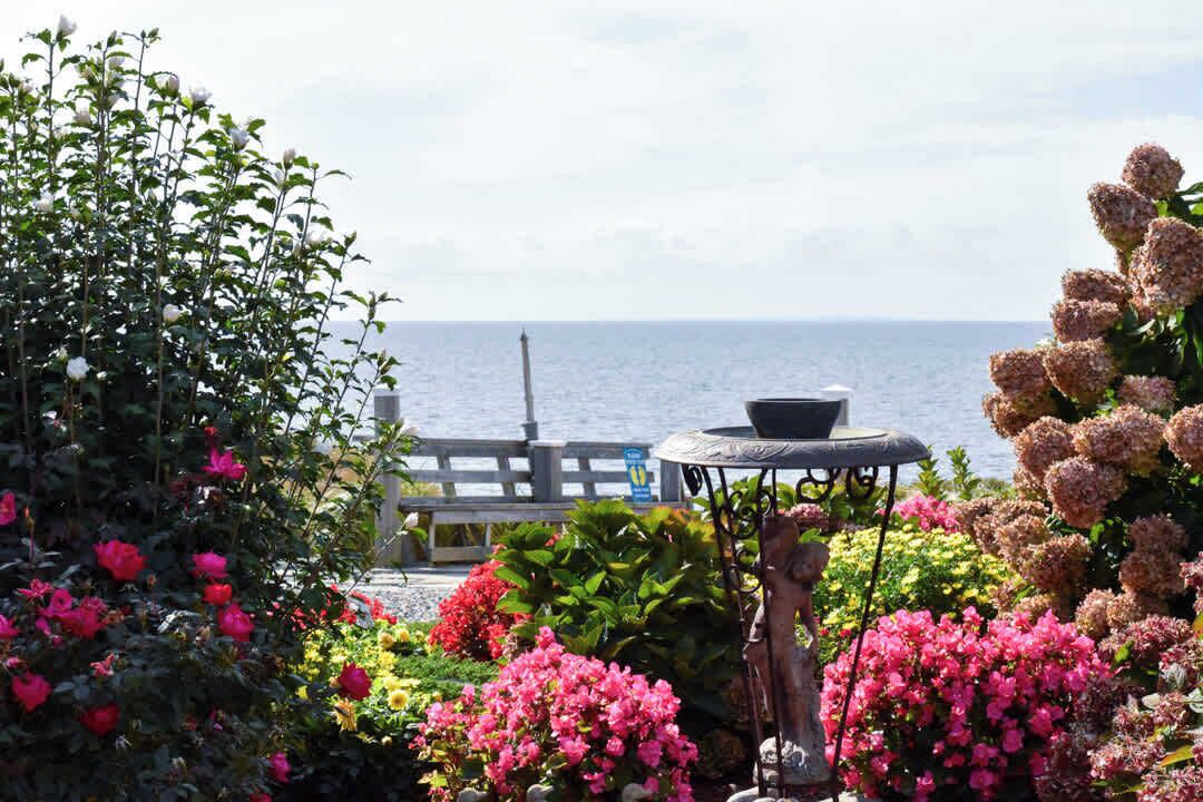 Photo of Outdoor in Truro