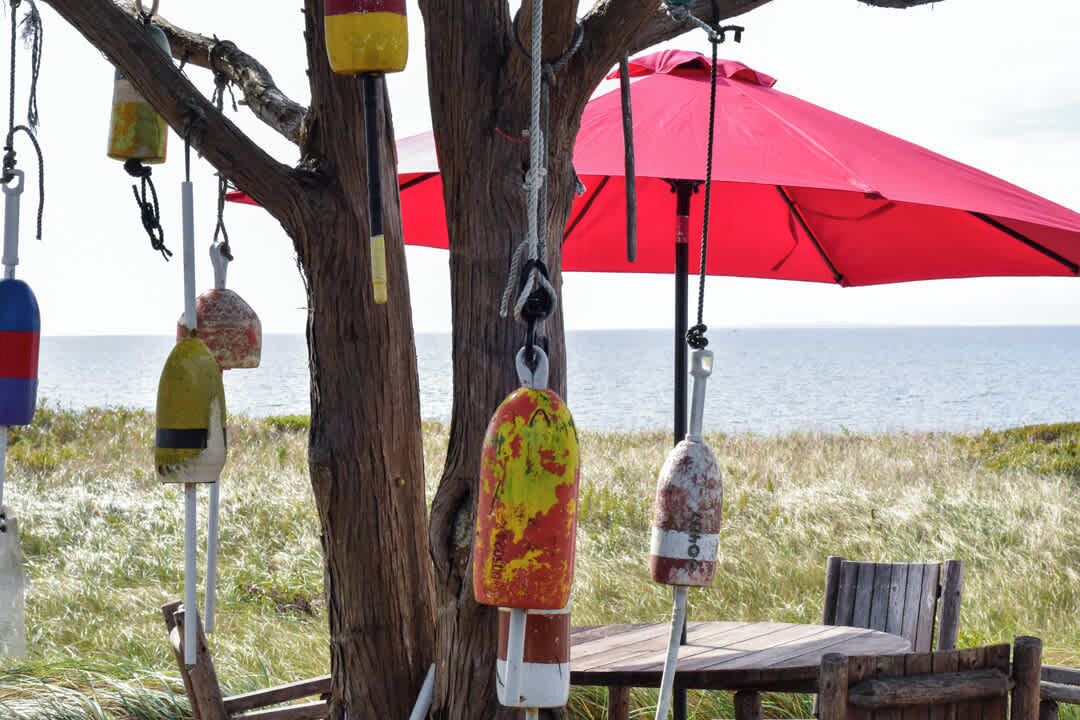 Photo of Outdoor in Truro