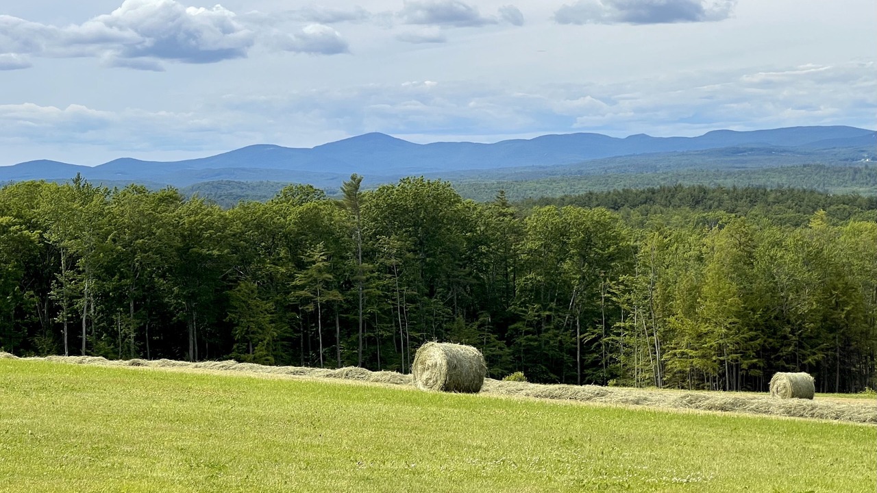 Photo of Others in Barnstead