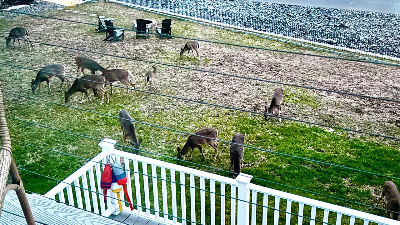 Photo of Outdoor in Marlboro